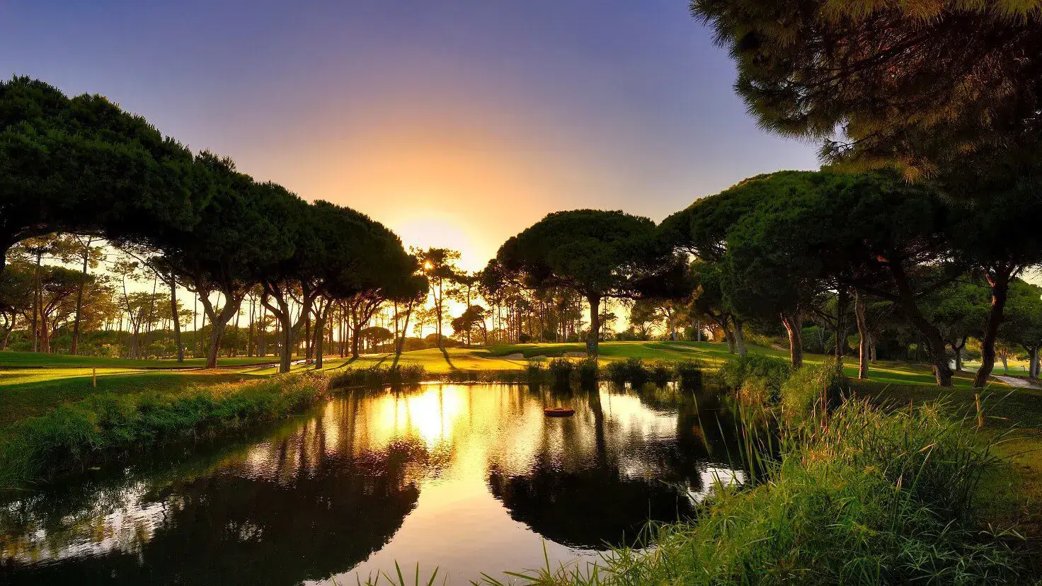 Lush green fairways lined with mature umbrella pine trees at the prestigious Dom Pedro Old Course in Vilamoura