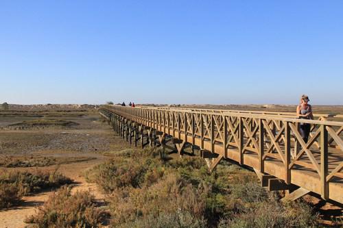 Woodland pathways and marsh views along the beautiful São Lourenço Nature Trail corridor